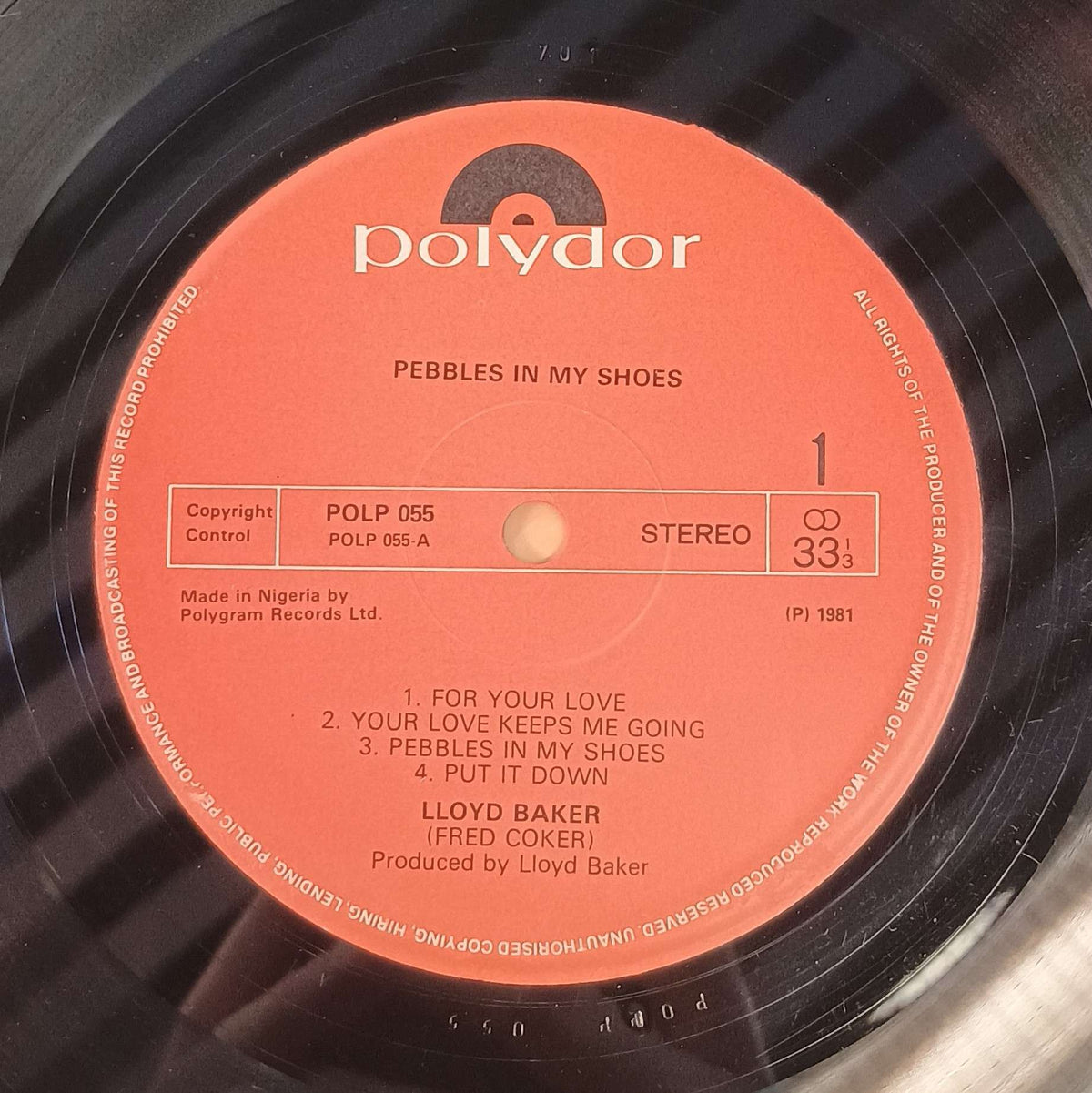 Lloyd Baker - Pebbles In My Shoes