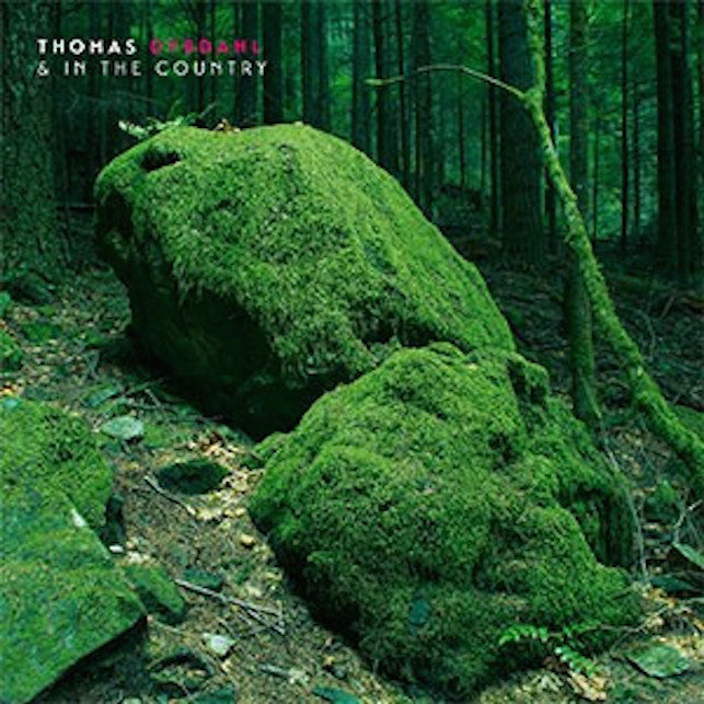 Dybdahl, Thomas - Thomas Dybdahl & In The Country