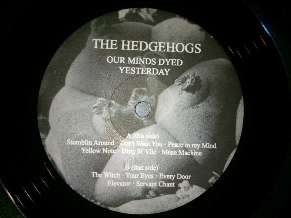 Hedgehogs - Our Minds Dyed Yesterday.