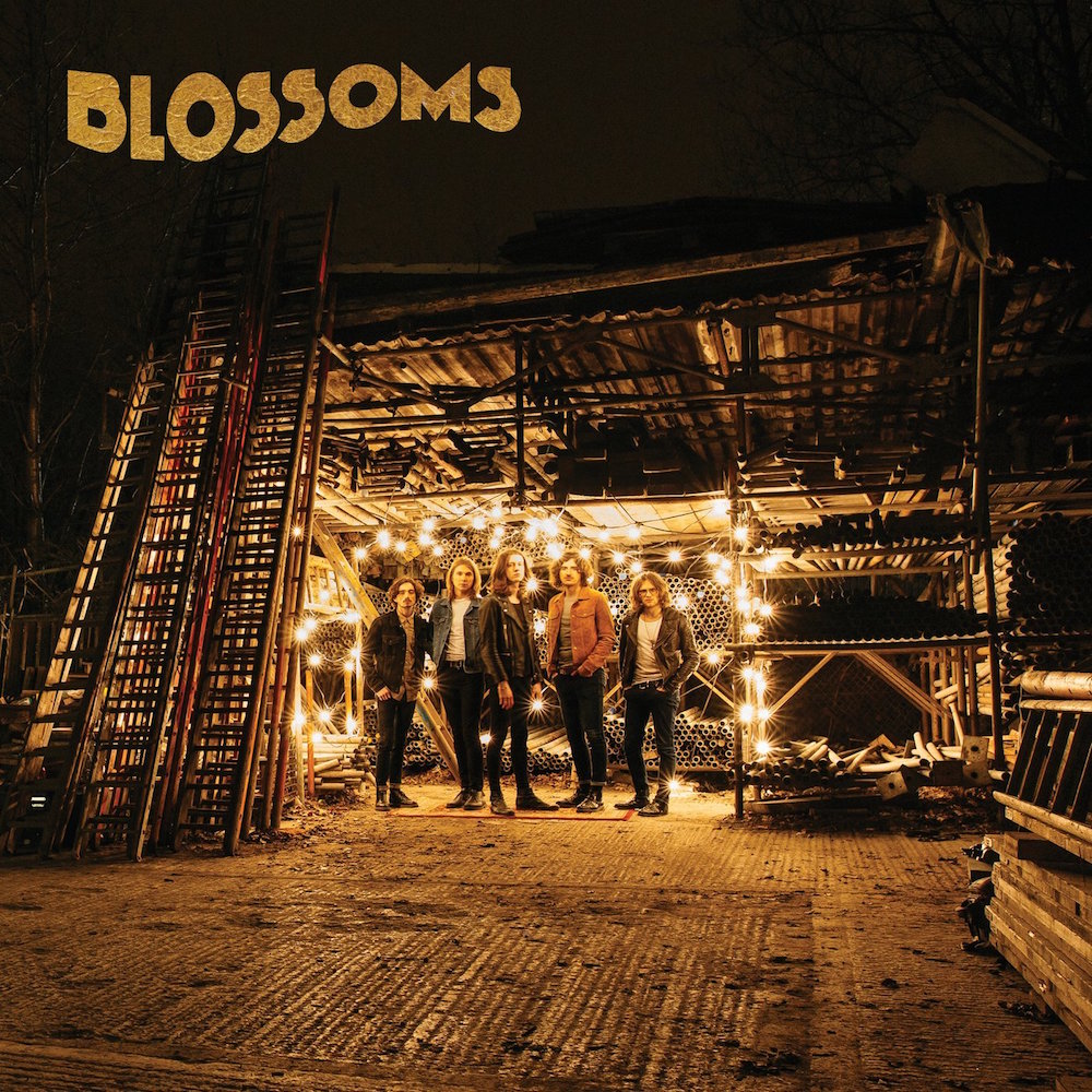 Blossoms – Blossoms