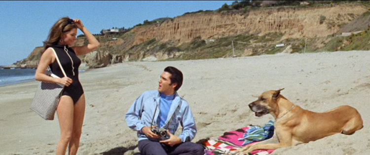 Presley, Elvis - In The Movies.