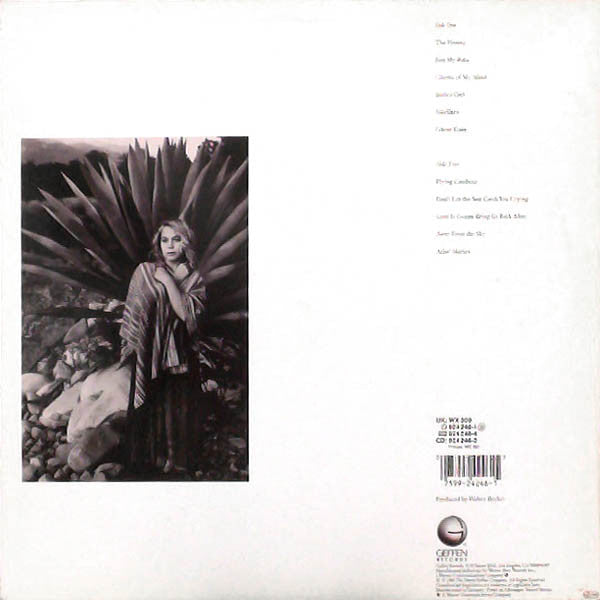 Jones, Rickie Lee - Flying Cowboy