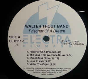 Walter Trout Band - Prisoner Of A Dream