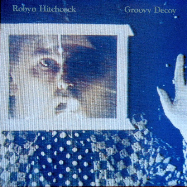 Hitchcock, Robyn - Groovy Decoy
