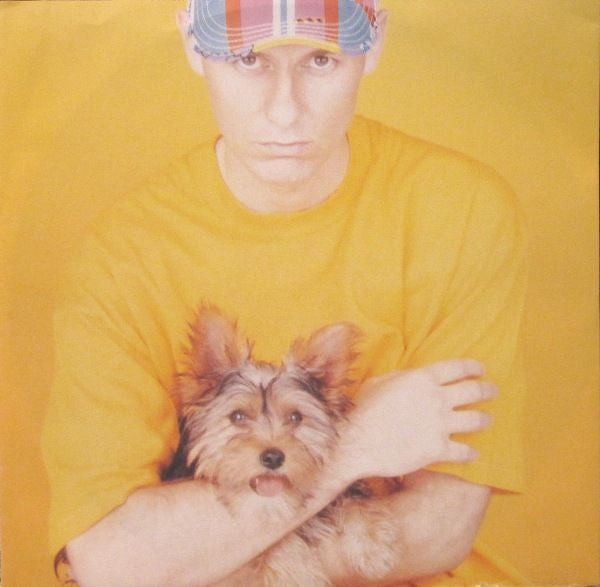 Pet Shop Boys - Introspective