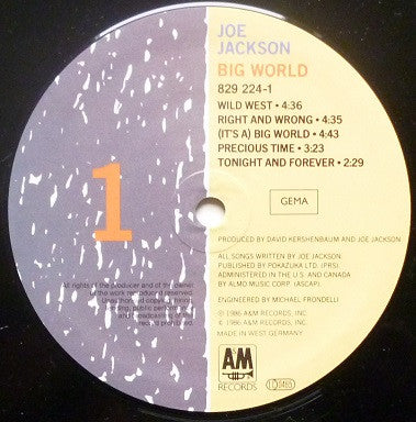 Jackson, Joe – Big World