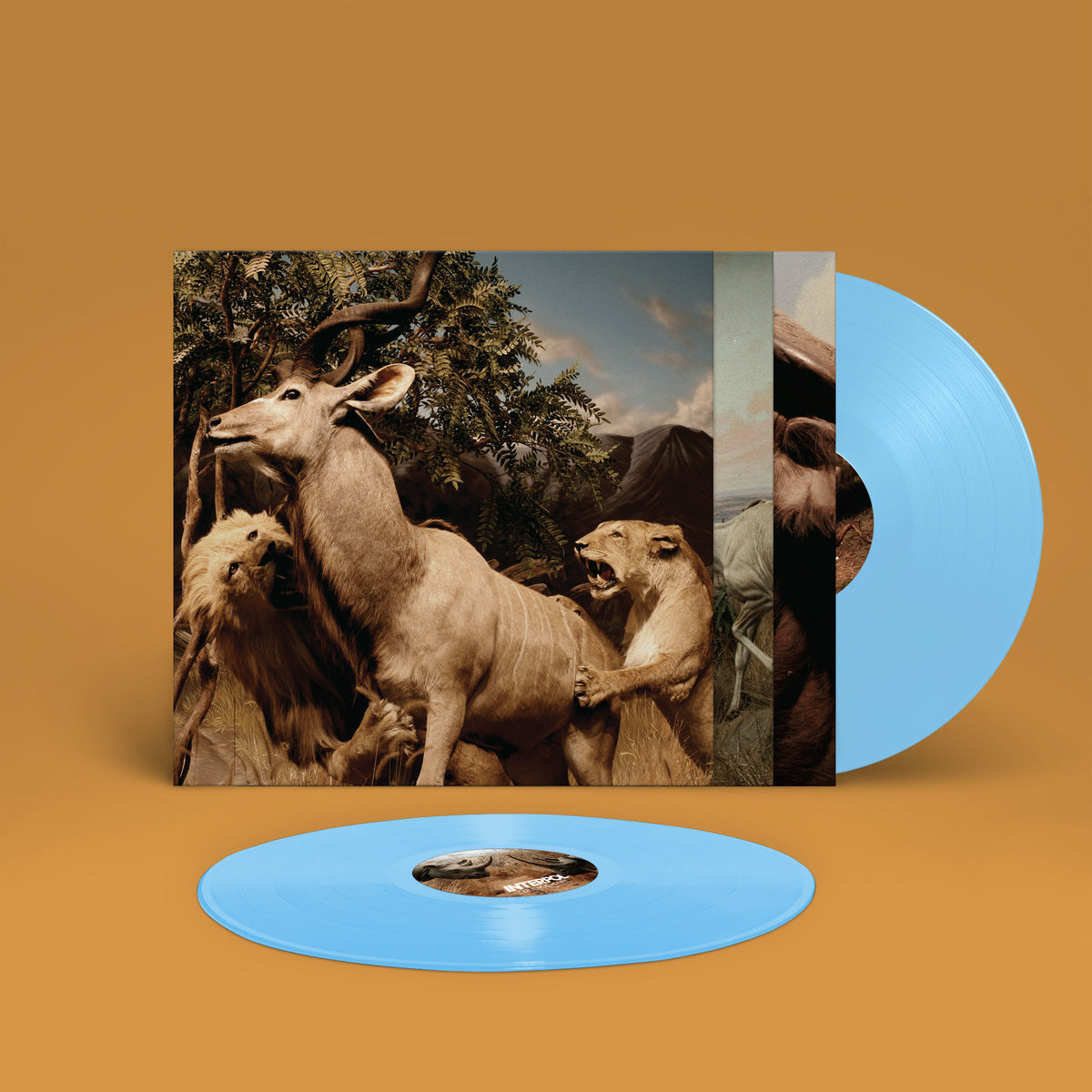 Interpol – Our Love To Admire