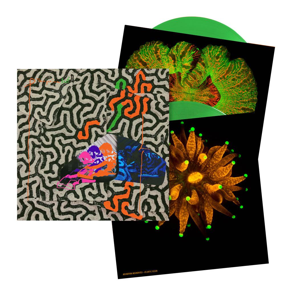 Animal Collective - Tangerine Reef