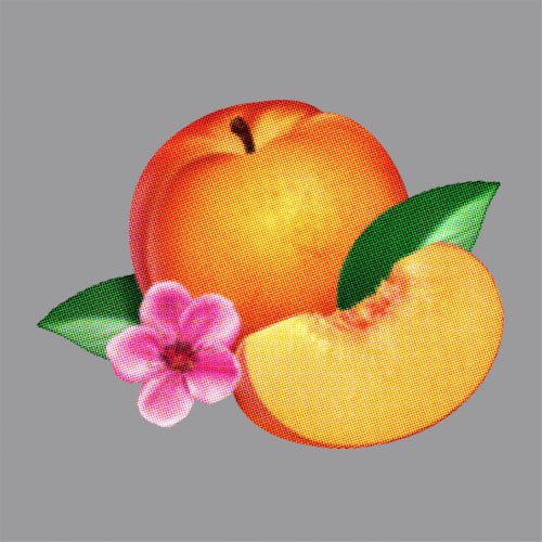 Phoenix - Bankrupt !