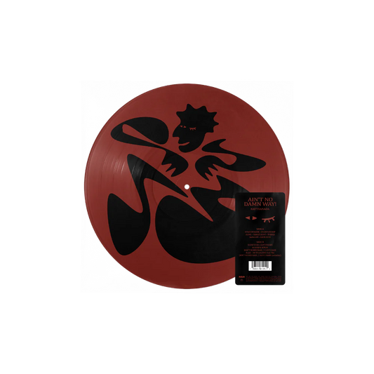 Kaytranada - Ain't No Damn Way!
