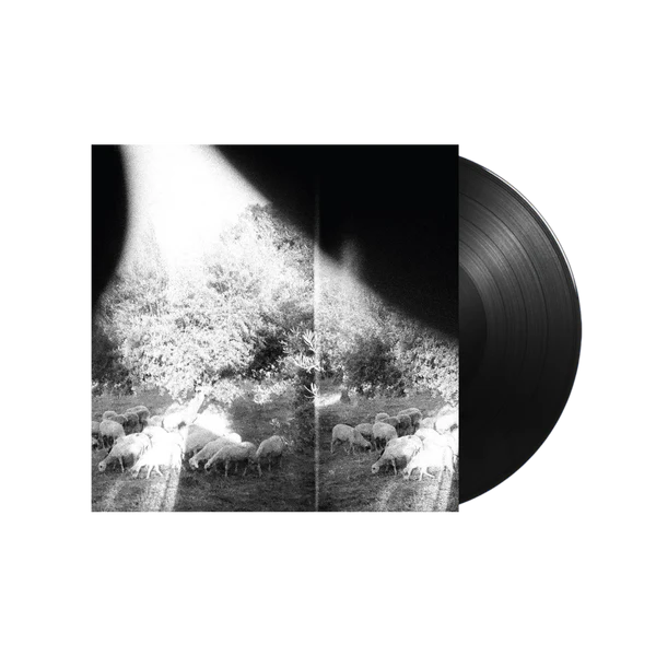Godspeed You! Black Emperor - Asunder, Sweet & Other Distress