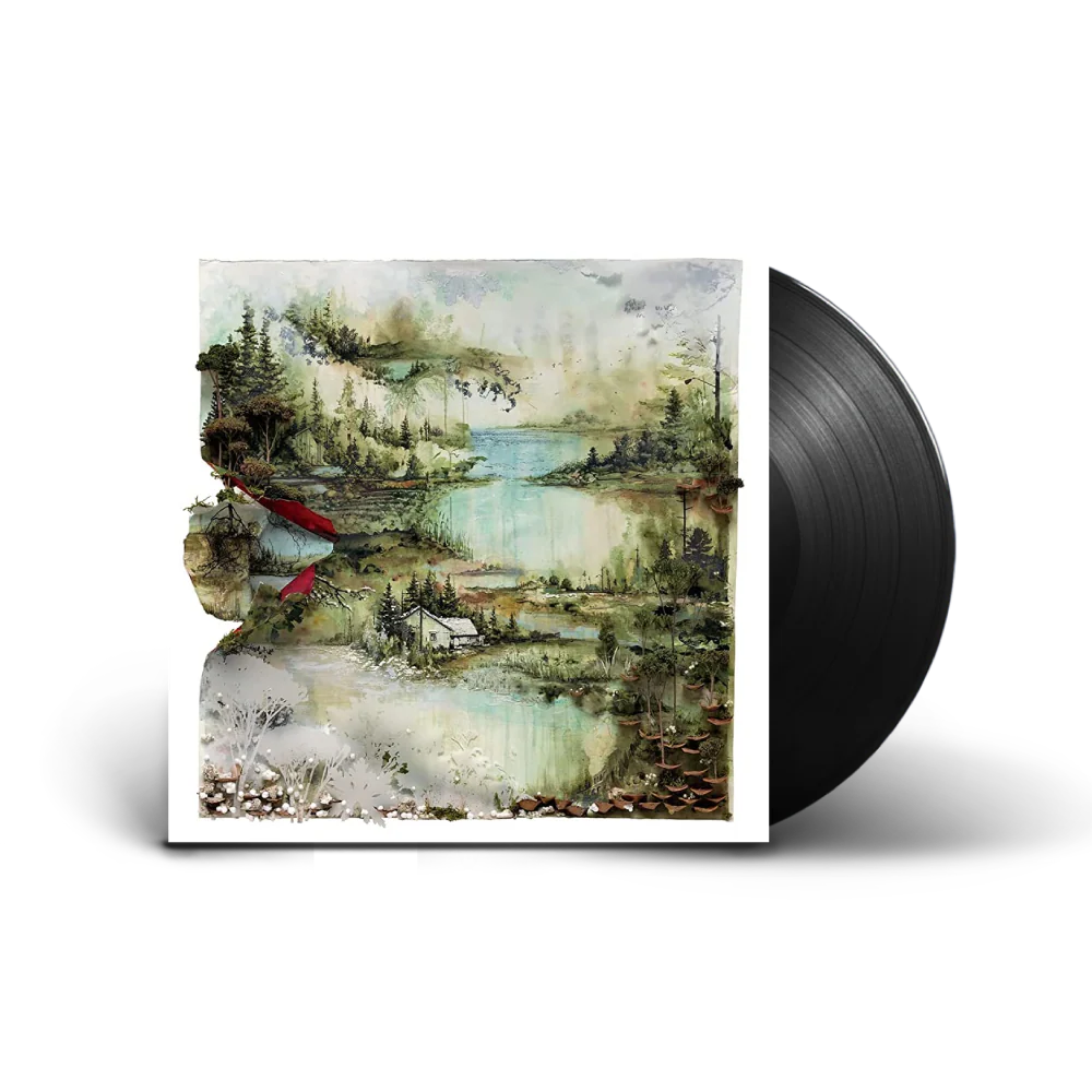 Bon Iver - Bon Iver