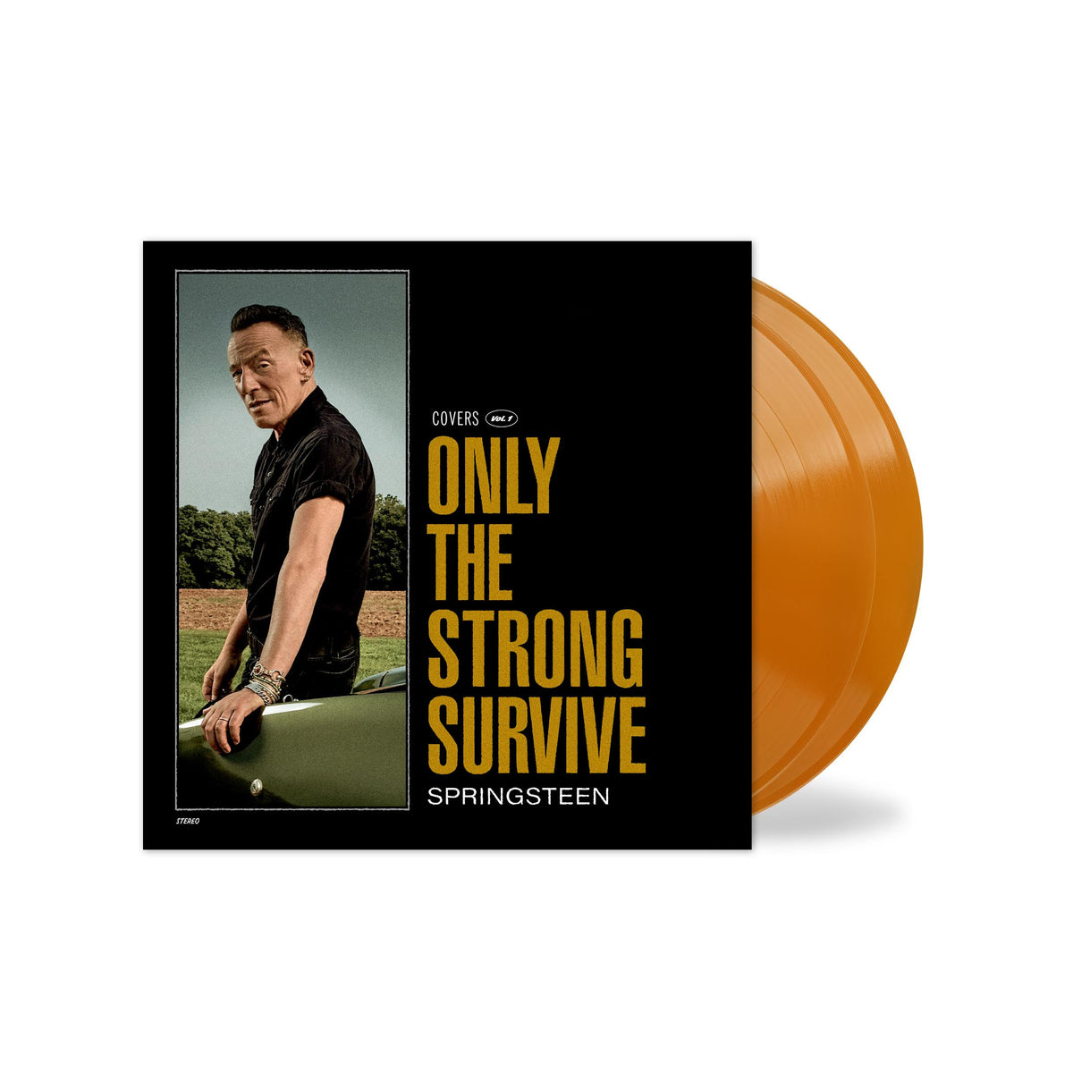 Springsteen, Bruce - Only The Strong Survive