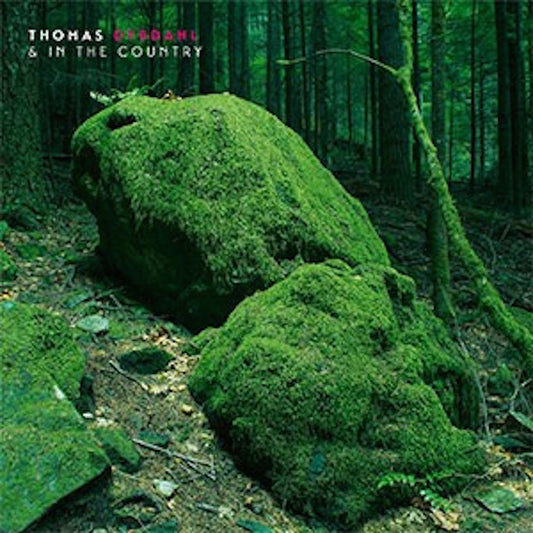 Dybdahl, Thomas - Thomas Dybdahl & In The Country