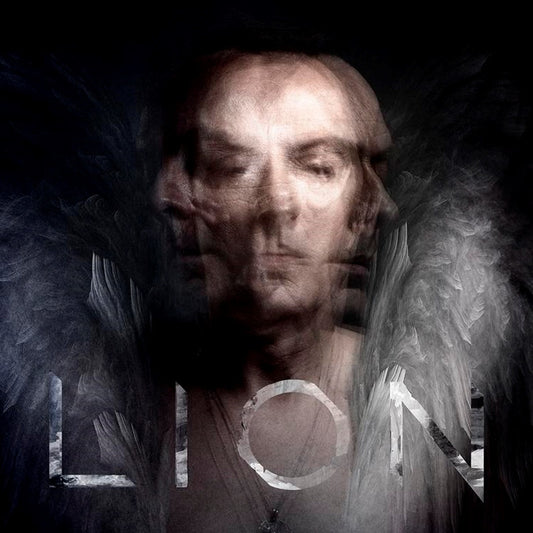 Murphy, Peter - Lions