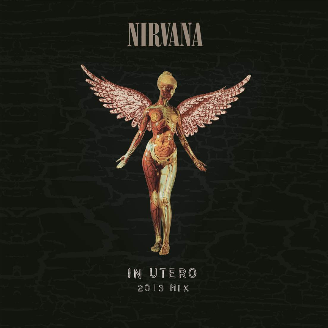 Nirvana - In Utero 2013 Mix