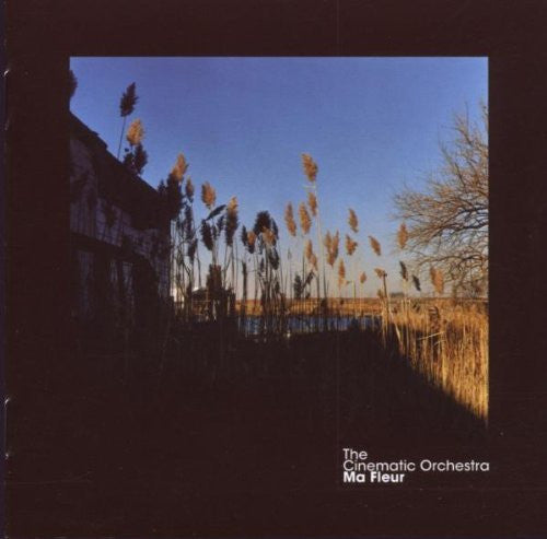 Cinematic Orchestra - Ma Fleur