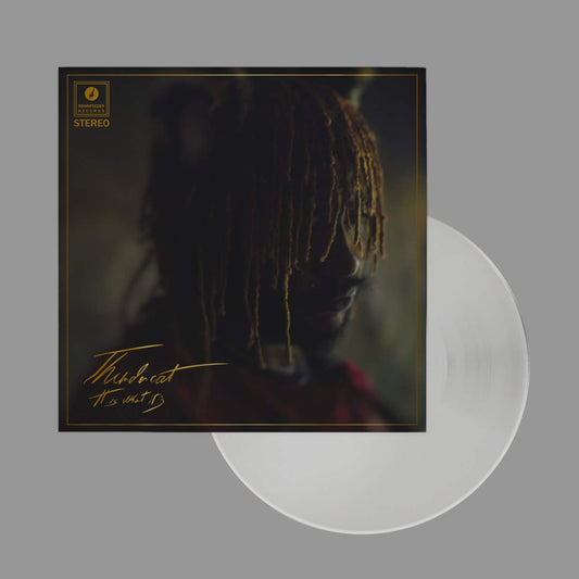 Thundercat - It Is What It Is