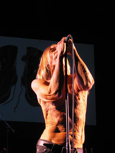 Iggy And The Stooges - Raw Power - Book
