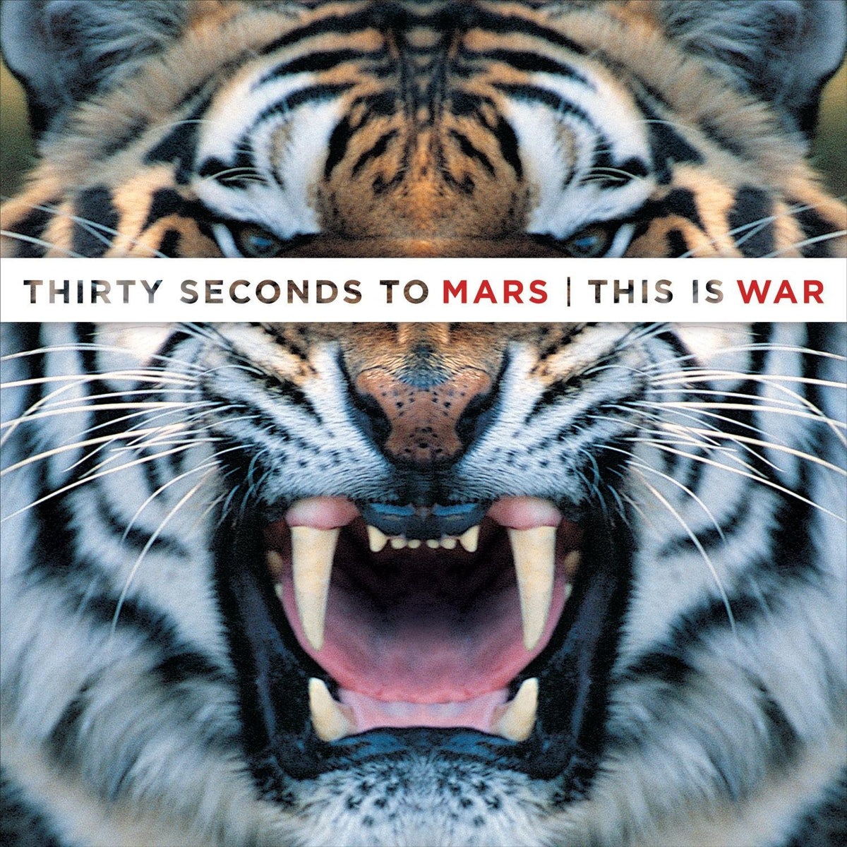 30 Seconds To Mars -  This Is War - RecordPusher  