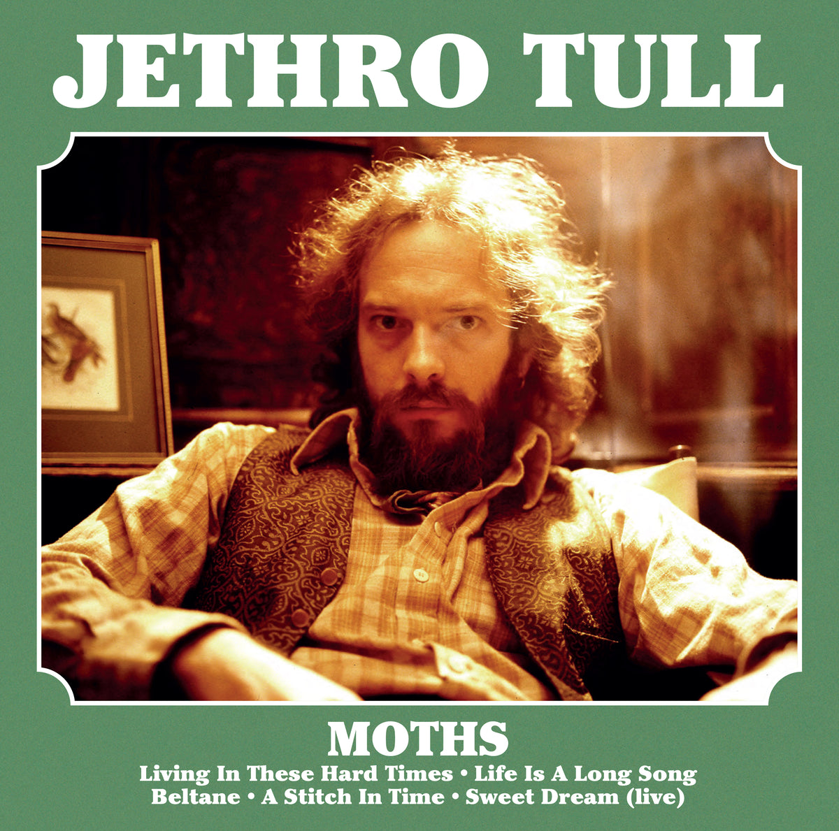 Jethro Tull - Moths