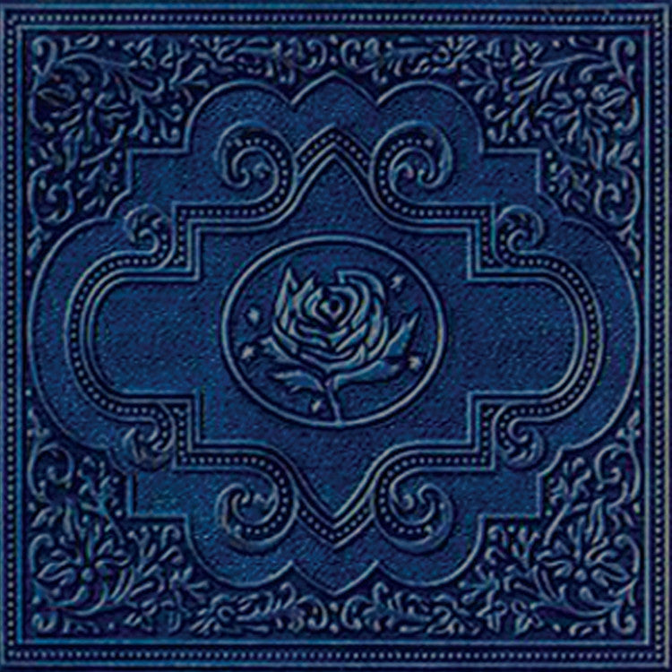 Adams, Ryan - Cold Roses - RecordPusher  