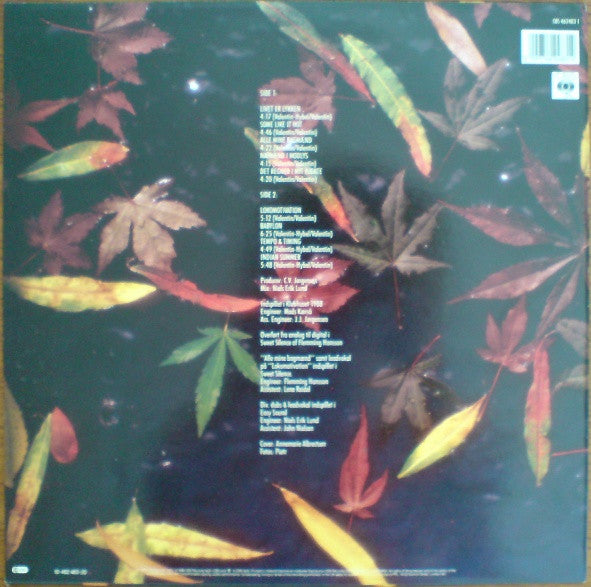 Jørgensen, C.V. - Indian Summer