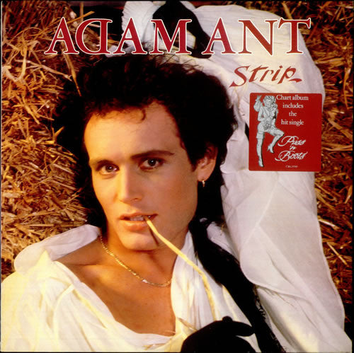Adam And - Strip