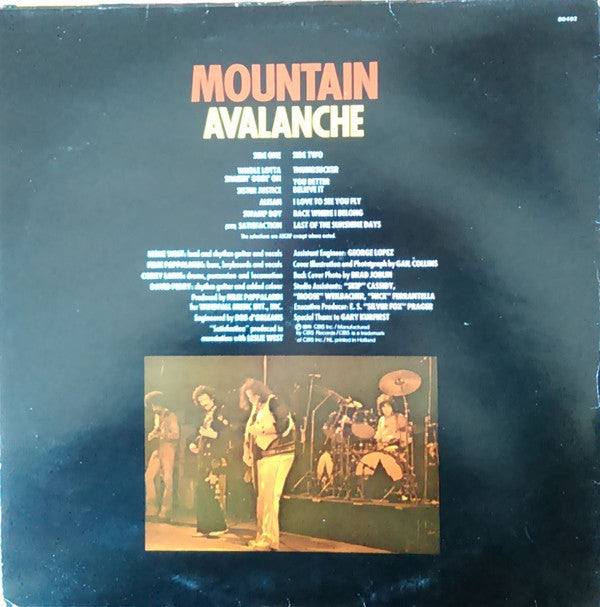 Mountain - Avalanche