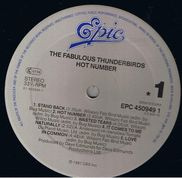 Fabulous Thunderbirds - Hot Number