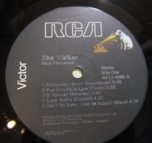 Mick Fleetwood - The Visitor