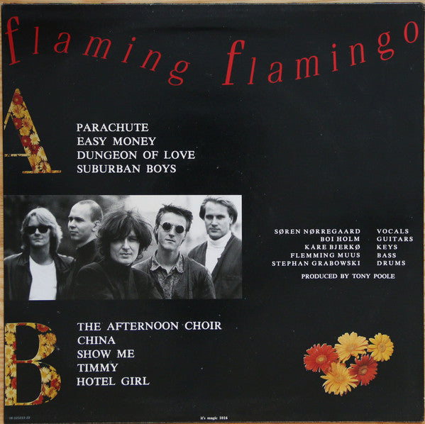 Janes Rejoice ‎– Flaming Flamingo