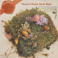 Manfred Mann's Earth Band ‎– The Good Earth