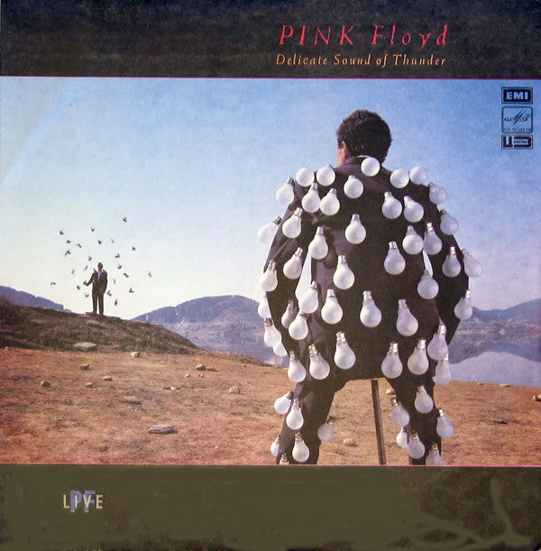 Pink Floyd - Delicate Sound Of Thunder
