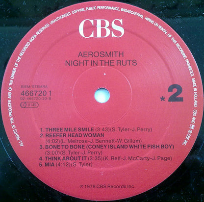 Aerosmith - Night In The Ruts