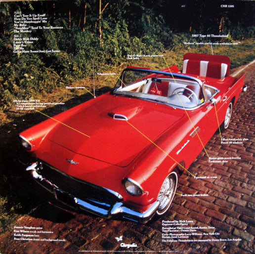 Fabulous Thunderbirds - T-Bird Rhythm