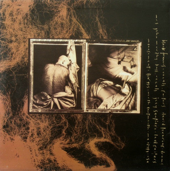 Pixies - C'mon Pilgrim