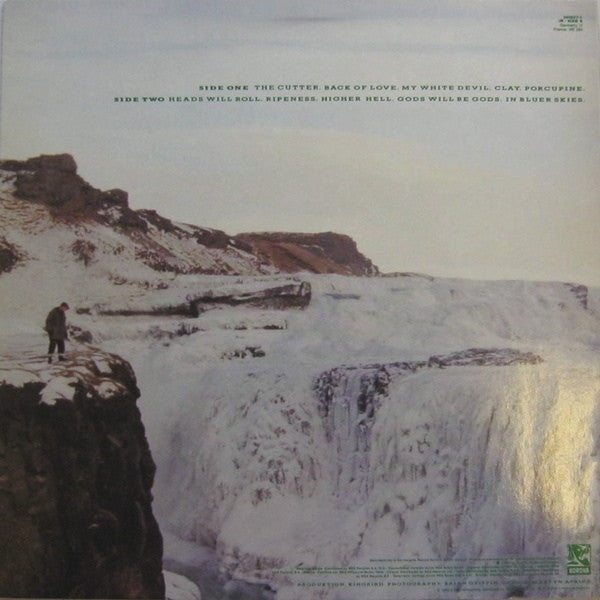 Echo & The Bunnymen - Porcupine