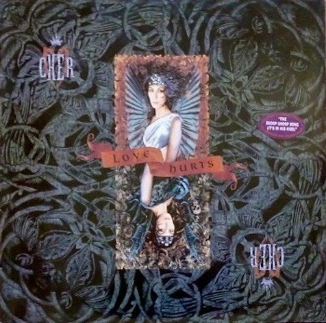 Cher - Love Hurts