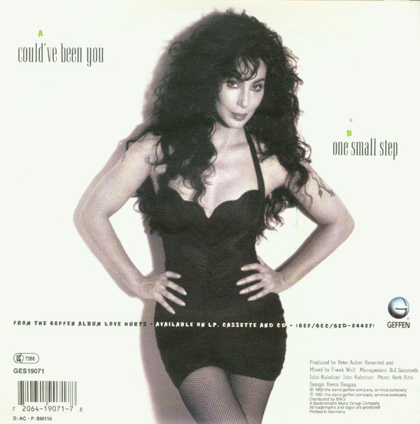 Cher - Could've Been You
