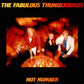 Fabulous Thunderbirds - Hot Number