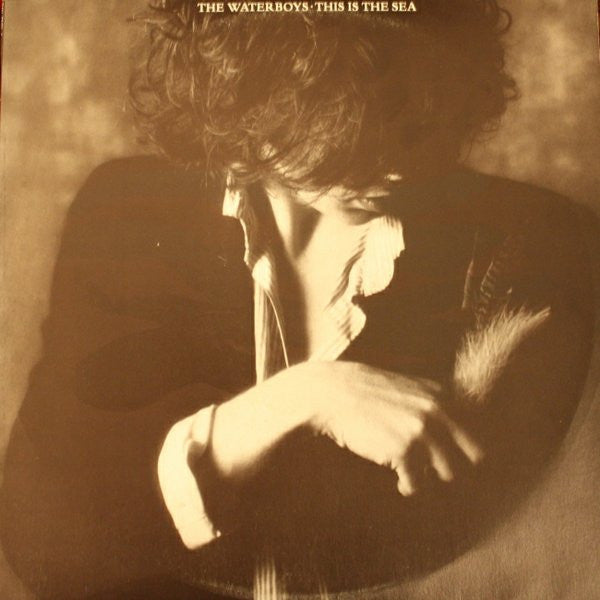 Waterboys - This Is The Sea