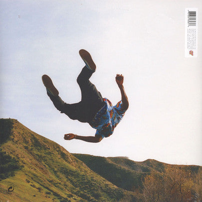 Tyler, The Creator - Wolf