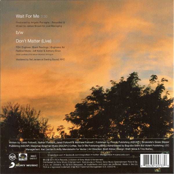Kings Of Leon - Wait For Me