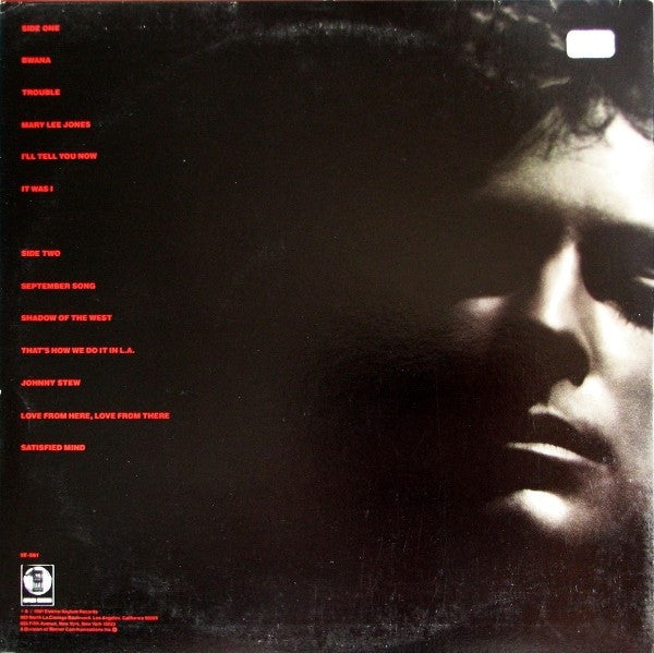 Lindsey Buckingham ‎– Law And Order