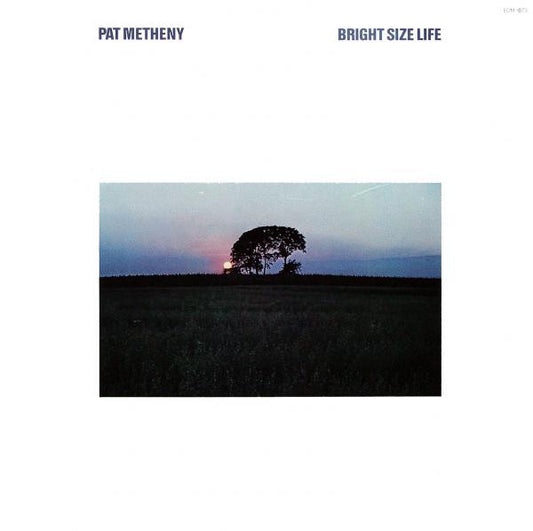 Metheny, Pat ‎– Bright Size Life