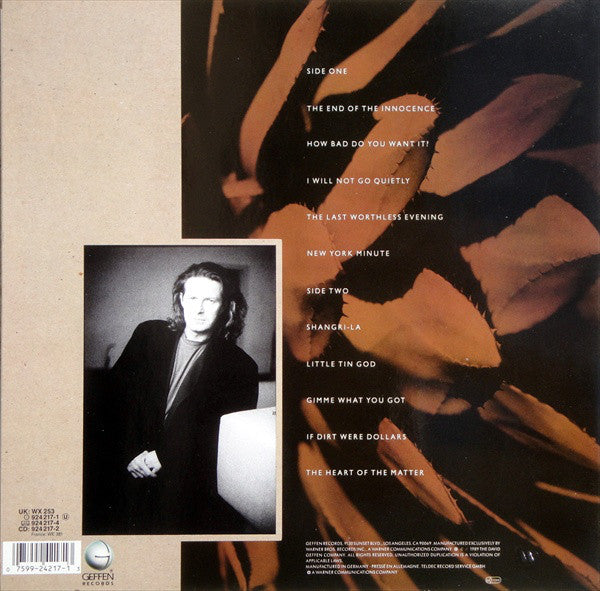 Henley, Don ‎– The End Of The Innocence