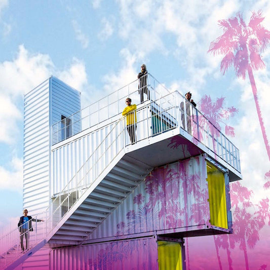 New Investors - Last One In is a Dreamer