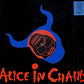 Alice In Chains - Them Bones
