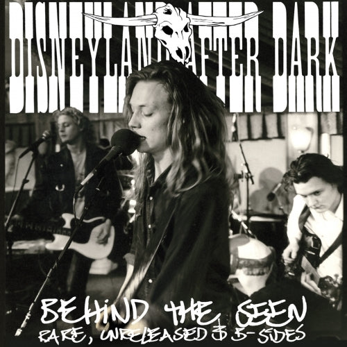 Disneyland After Dark -  Behind The Seen - Rare, Unreleased & B-Sides (2LP)
